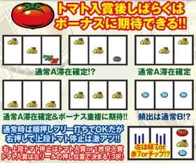 ビット コイン カジノ 日本 語のトマト入賞後しばらくはボーナスに期待できる